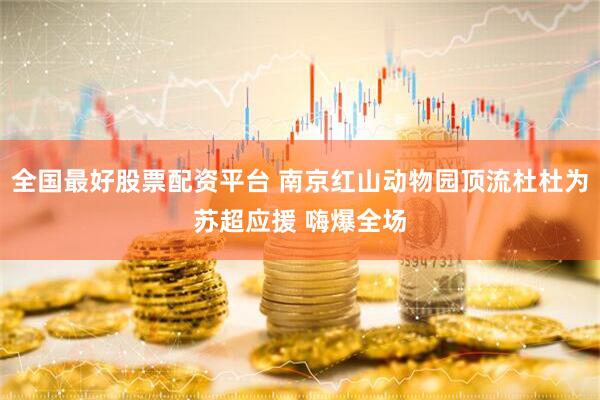 全国最好股票配资平台 南京红山动物园顶流杜杜为苏超应援 嗨爆全场